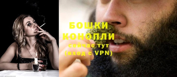 ALPHA-PVP Вяземский