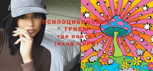 ALPHA-PVP Вяземский