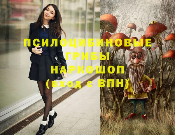 ALPHA-PVP Вяземский