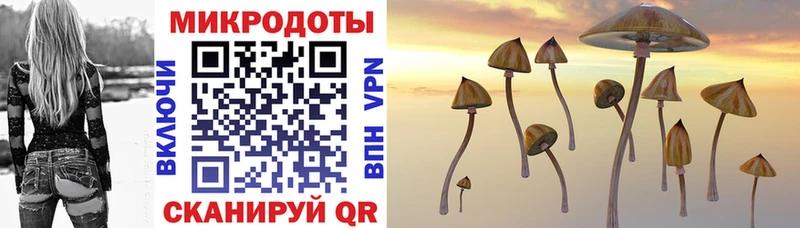 Галлюциногенные грибы GOLDEN TEACHER  Калачинск 